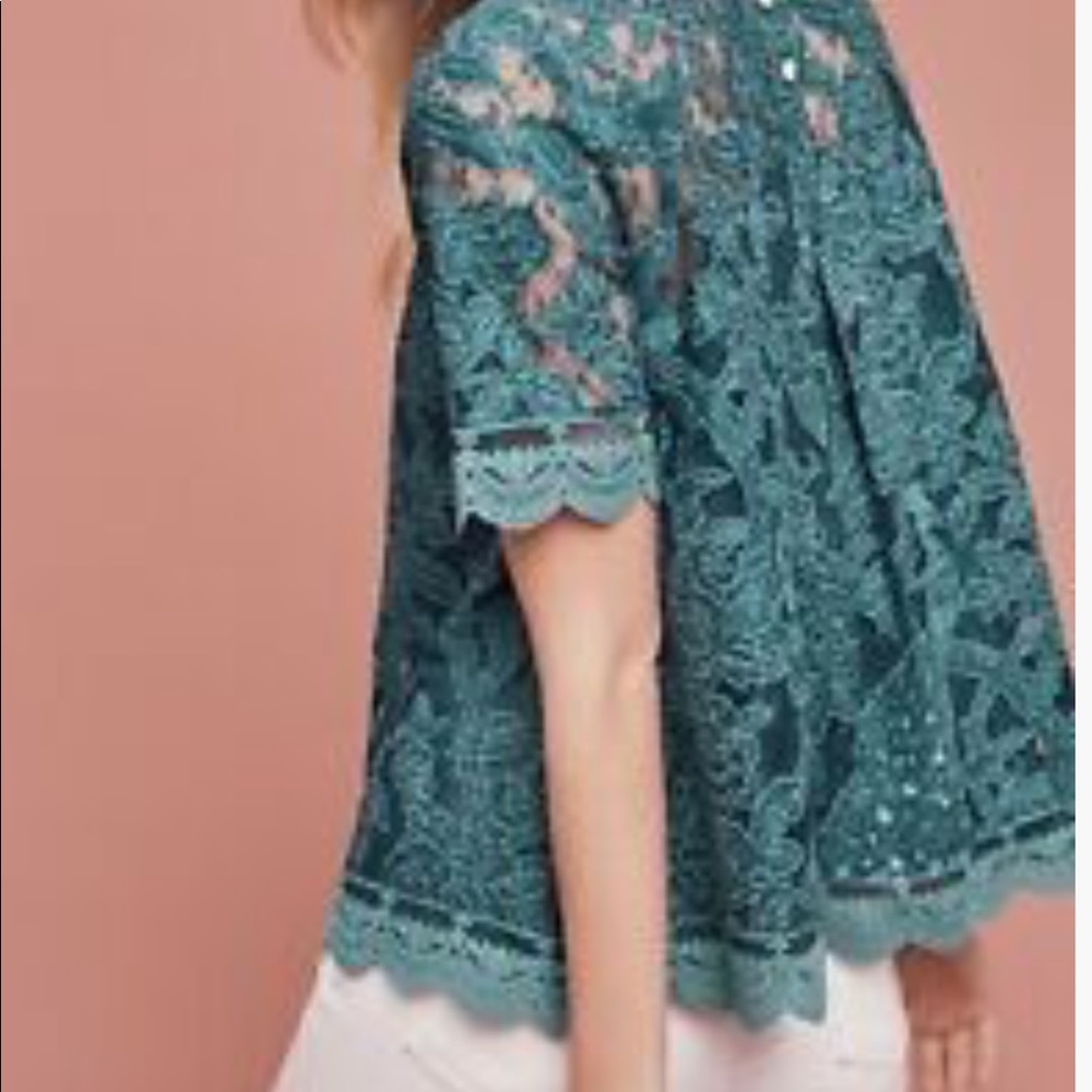 Anthropologie HD in Paris Lace Meadows Blouse 10